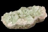 Zoned Apophyllite Crystals With Stilbite - India #91327-1